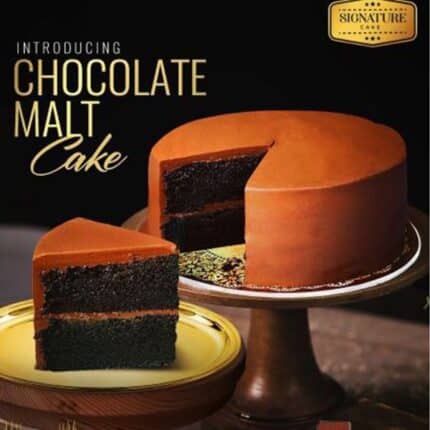 chocolate malt cake